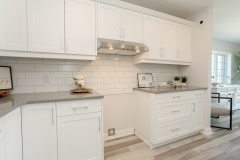 016-1-Harrow-Ln-stills-15