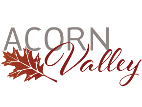 Acorn Valley, Dorchester